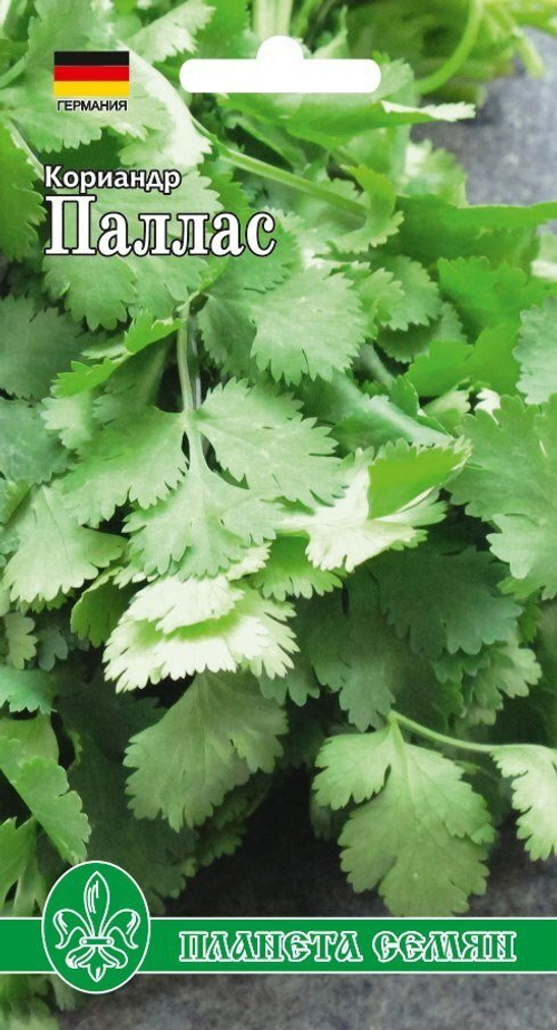 Кориандр Паллас