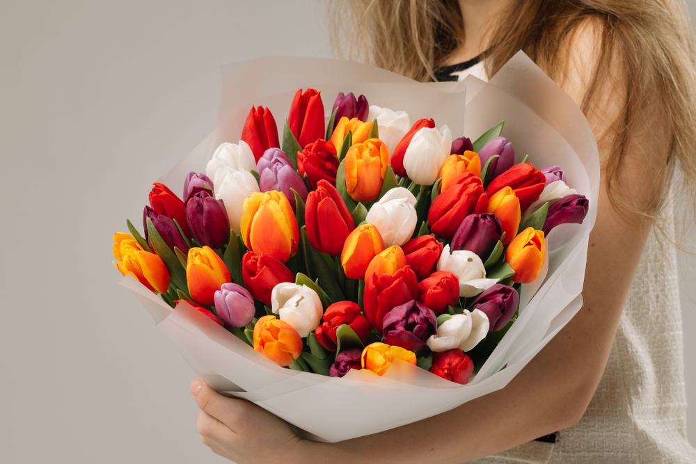 Микс 51 тюльпан