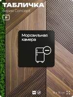 Табличка Морозильная камера, на дверь и стену, навигационная и информационная, серия CONCEPT, 18х18 см, Айдентика Технолоджи