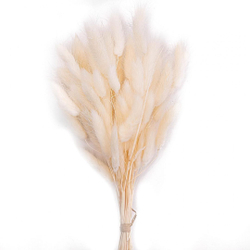 Сухоцветы ЛАГУРУС 65см 34гр СВЕТЛЫЙ №2