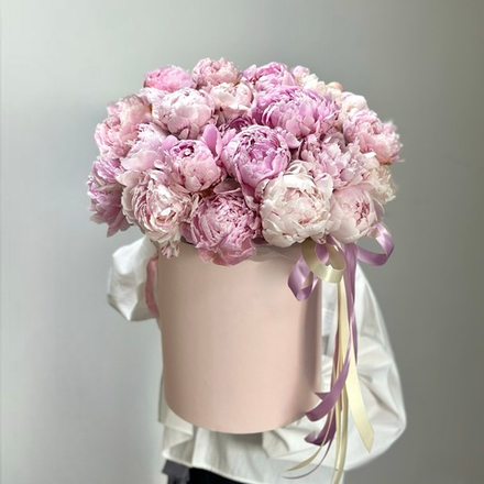 35 ароматных пионов «Сара Бернар» в коробке. Букет 1162.