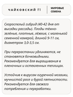 Семена огурцов Чайковский F1, 7 семян (Vita Green / Вита Грин)