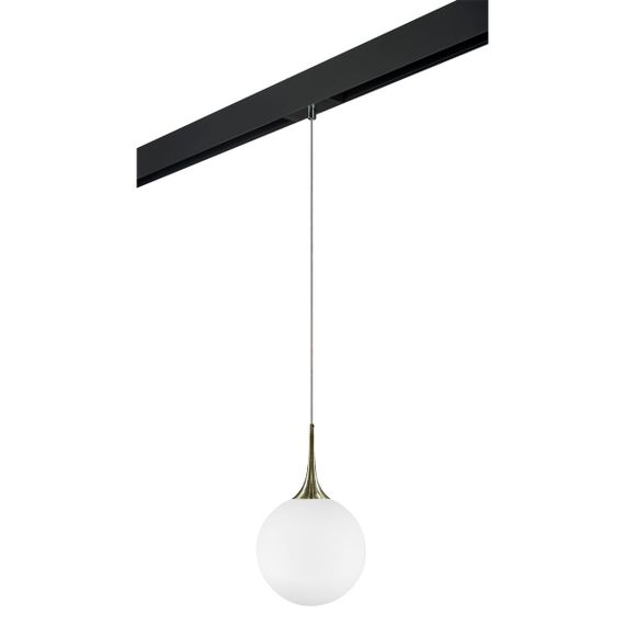 Комплект с трековым светильником Lightstar Globo (813031+595007) PRO813031
