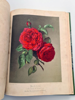 "Nestel`s Rosengarten. [  Сад роз Нестела]". E. Schweizerbartsche Verlagshandlung. 1869г.
