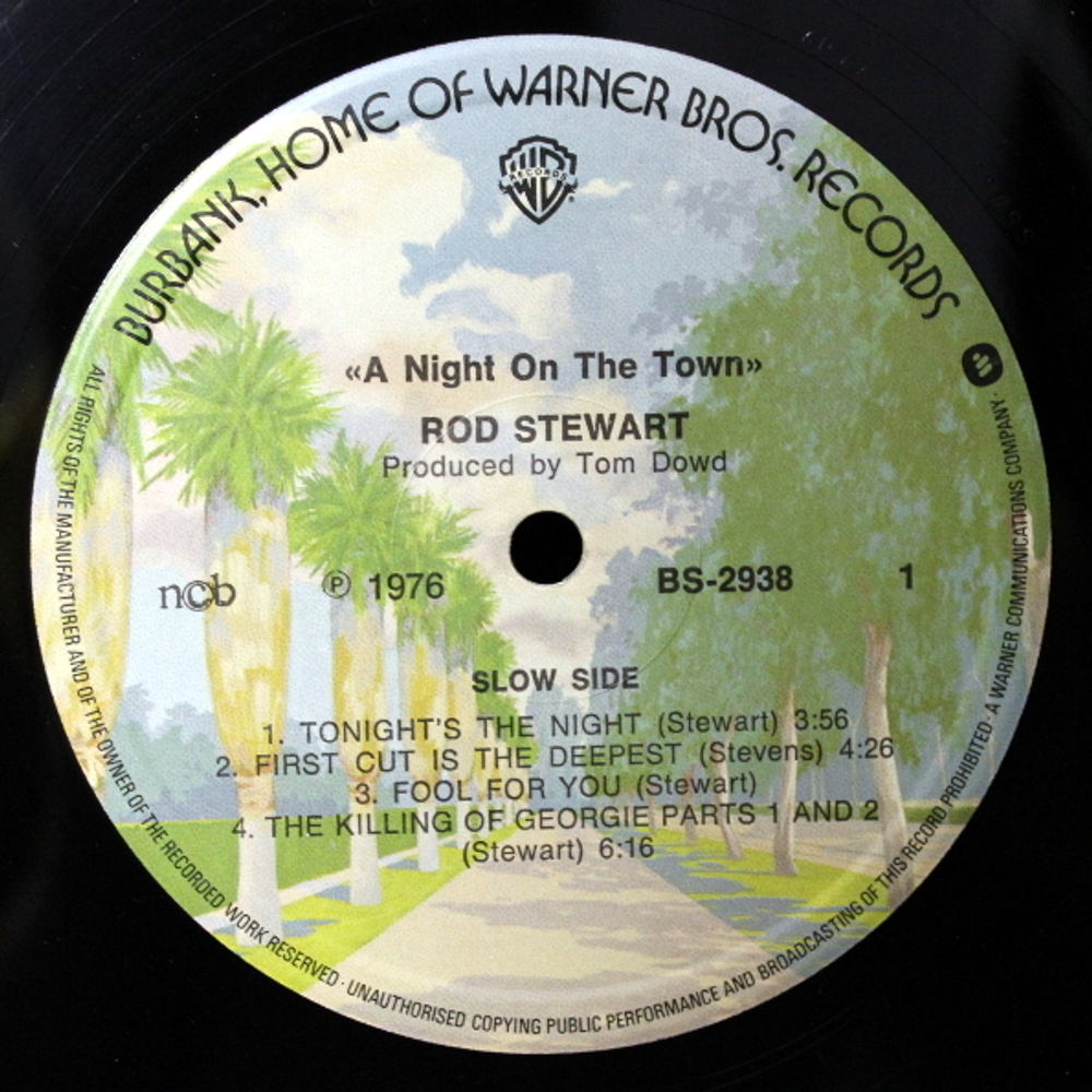 Rod Stewart / A Night On The Town (LP)