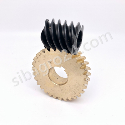 Червячная пара в редуктор миксера B-20B Foodatlas Eco