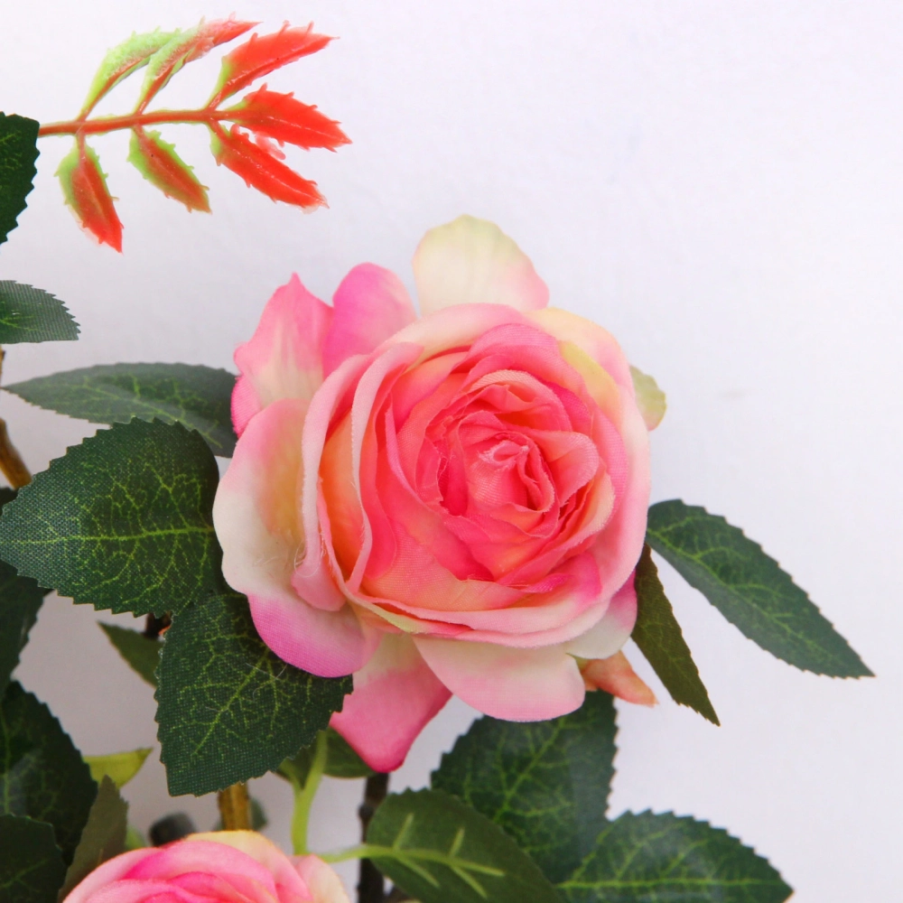 Цветочная композиция «Розовый восторг» 25см в горшке, цвет розовый