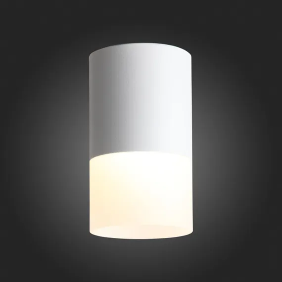 ST100.502.10 Светильник потолочный Белый LED 1*10W 3000K 780Lm Ra>80 120° D78xH135 170-240V Накладные светильники