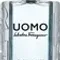 Мужская туалетная вода Salvatore Ferragamo Uomo Casual Life EDT 50 мл