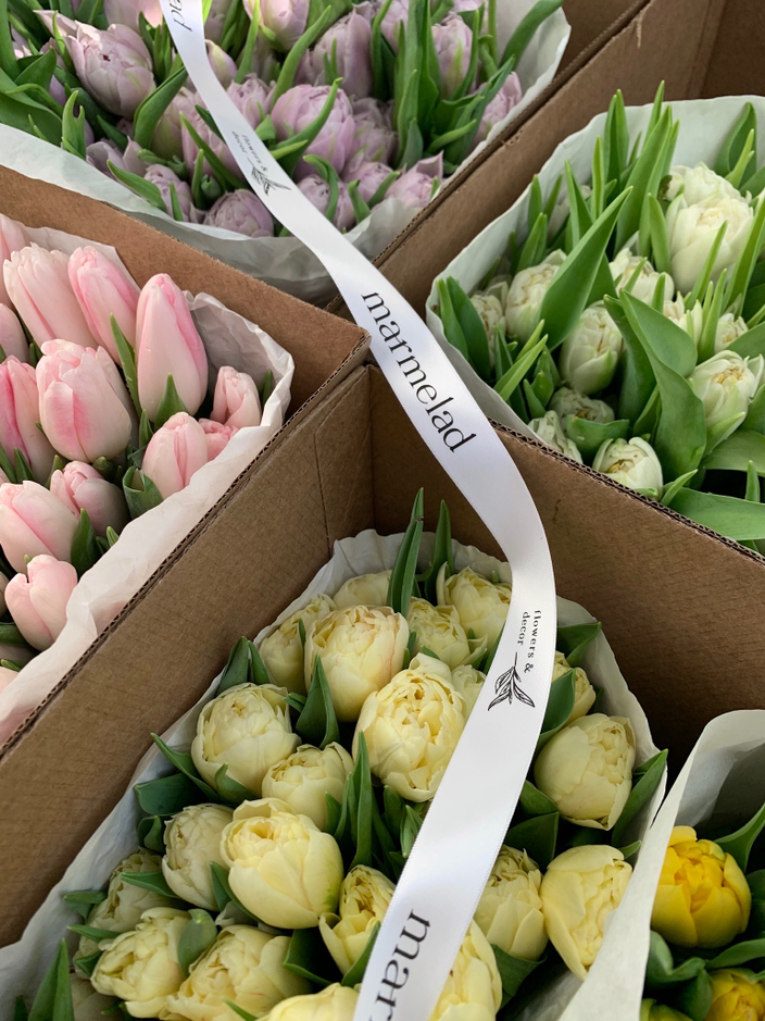 мы предлагаем выгодные цены на голландские тюльпаны