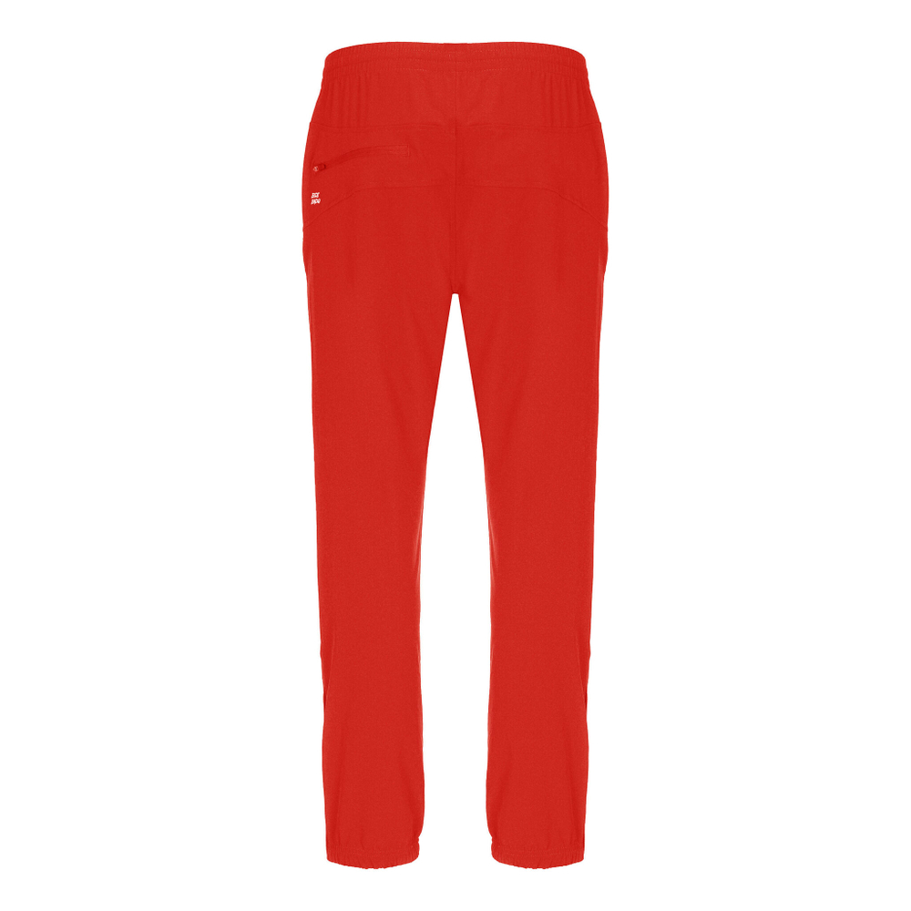 Мужские теннисные штаны BIDI BADU Flinn ÖTV Tech Training Pants Men - Red