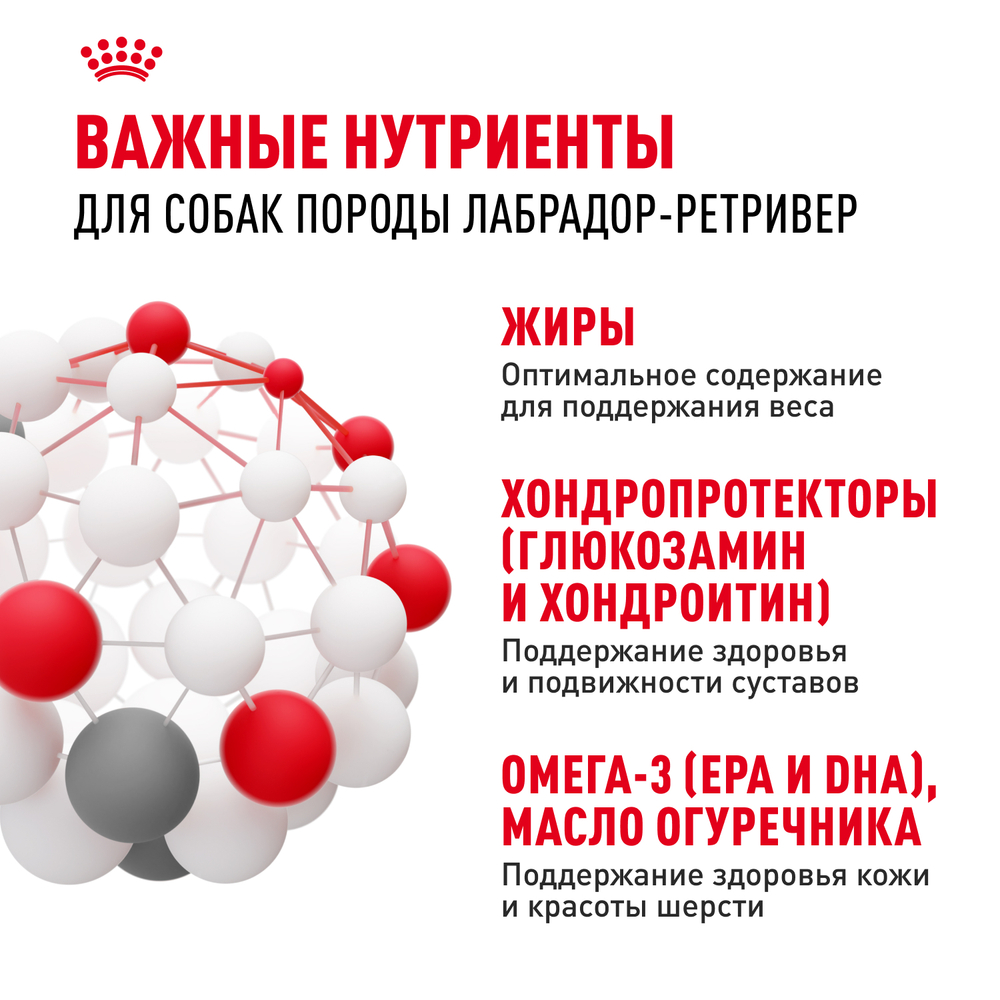 Сухой корм Royal Canin Labrador Retriever Adult для взрослых собак породы Лабрадор Ретривер от 15 месяцев 12кг