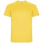 Мужская спортивная футболка Imola с коротким рукавом