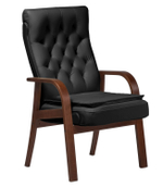 Кресло для посетителей Дарвин D (с подушкой)