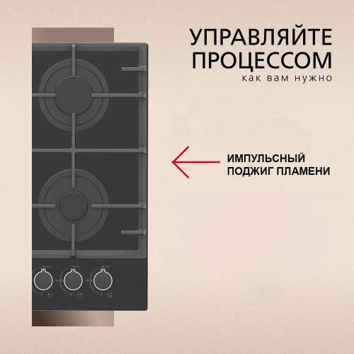 Варочная панель газовая Hansa BHKS63136