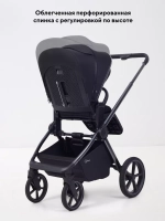 Коляска 2 в 1 Rant Falcon Soft Therm