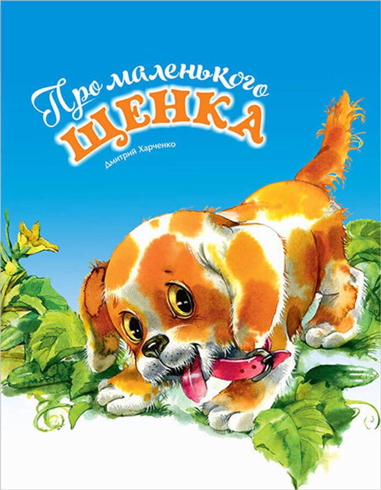 pro-malenkogo-shenka-93972-459187