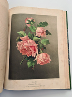 "Nestel`s Rosengarten. [  Сад роз Нестела]". E. Schweizerbartsche Verlagshandlung. 1869г.