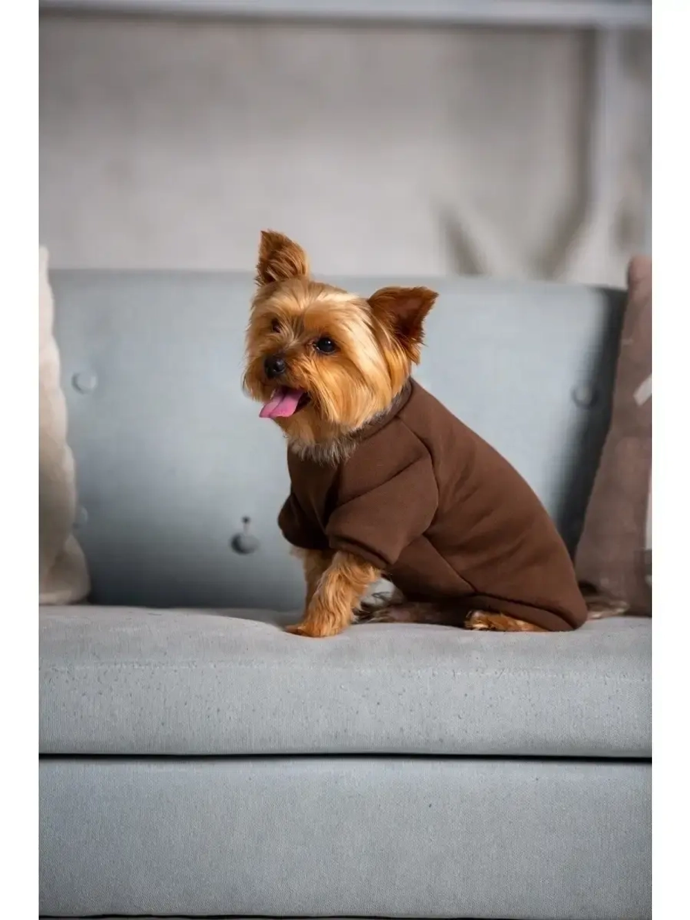 Толстовка худи кофта свитер для собак кошек и  животных