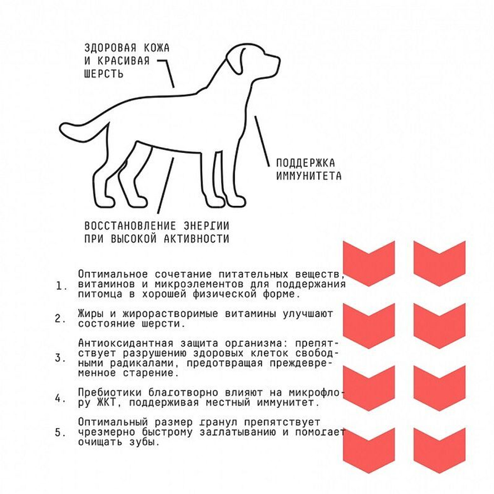 AJO Dog Medium Adult корм с гречкой для собак средних пород 12 кг