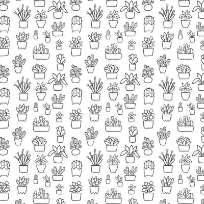 Домашние цветы