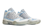 Кроссовки Jordan Jordan 29 Pantone