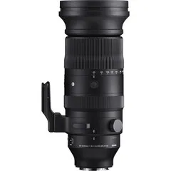 Sigma AF 100-400mm F/5-6.3 DG DN OS Sony