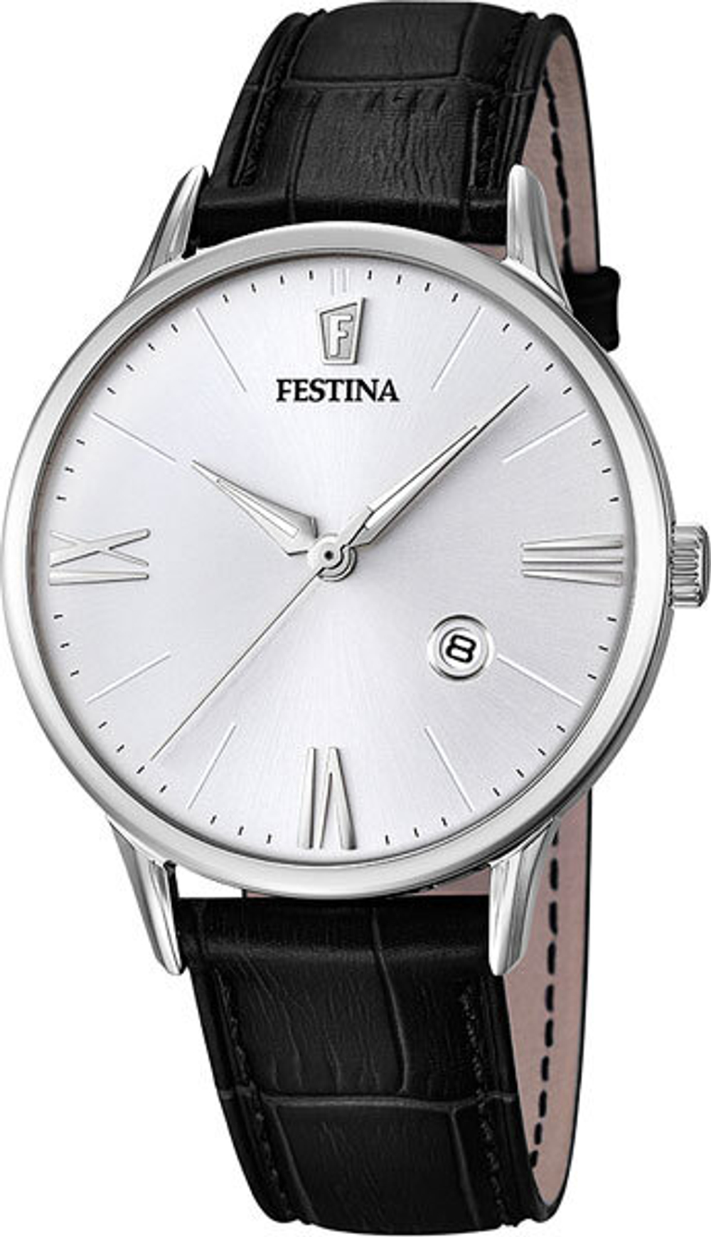 Мужские наручные часы Festina F16824/1
