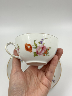 Чайная пара Rosenthal