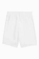 Шорты Puma teamGOAL Junior - белый