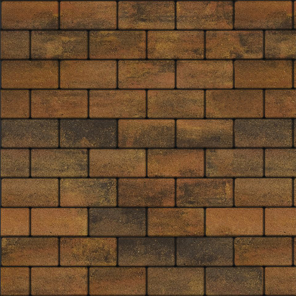 Тротуарная плитка ПРЯМОУГОЛЬНИК 200x100 мм - Листопад гладкий Саванна