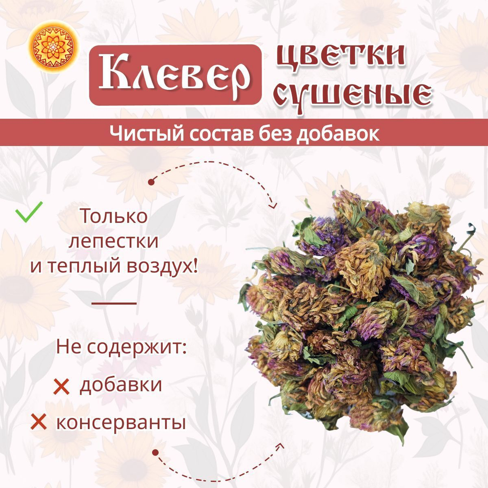 Клевер цвет сушеный.