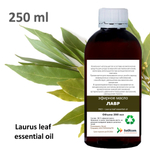 Эфирное масло лавра / Laurus leaf essential oil