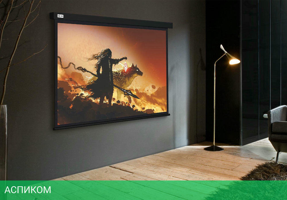 Проекционный экран Cactus 149.4x265.7см Wallscreen CS-PSW-149X265-BK черный