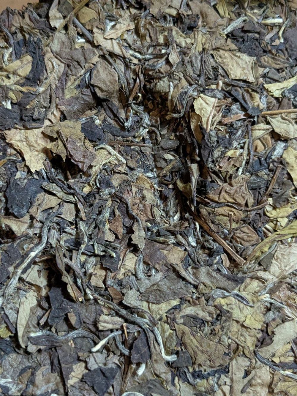 Лао Шоу Мэй, в разлом