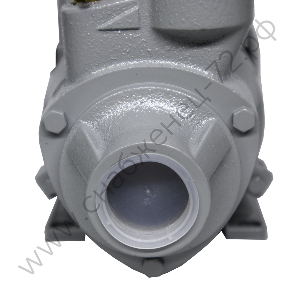 Поверхностный насос Ресанта ПСН-2400Ч