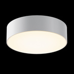 Потолочный светодиодный светильник Maytoni Zon IP O431CL-L30W3K