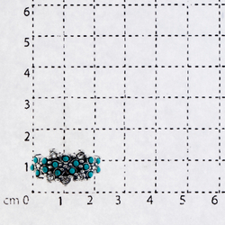 Антина би. (Кольцо)