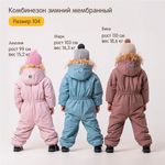 Комбинезон зимний "Пудра"