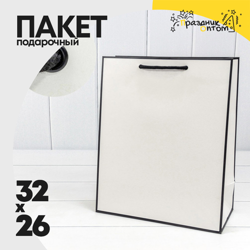 Пакет подарочный 26х32х13см Премиум "Рамка узкая" (Белый, Черный)