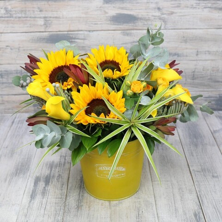 Авторская композиция "Солнечное утро"