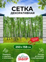 Фотосетка на забор пейзаж Березовая роща 2,5х1,58 м