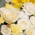 «Солнечный день»