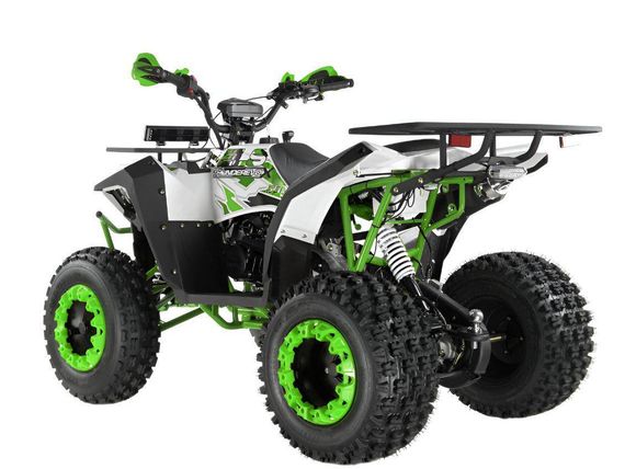 Квадроцикл WELS Thunder Evo 200