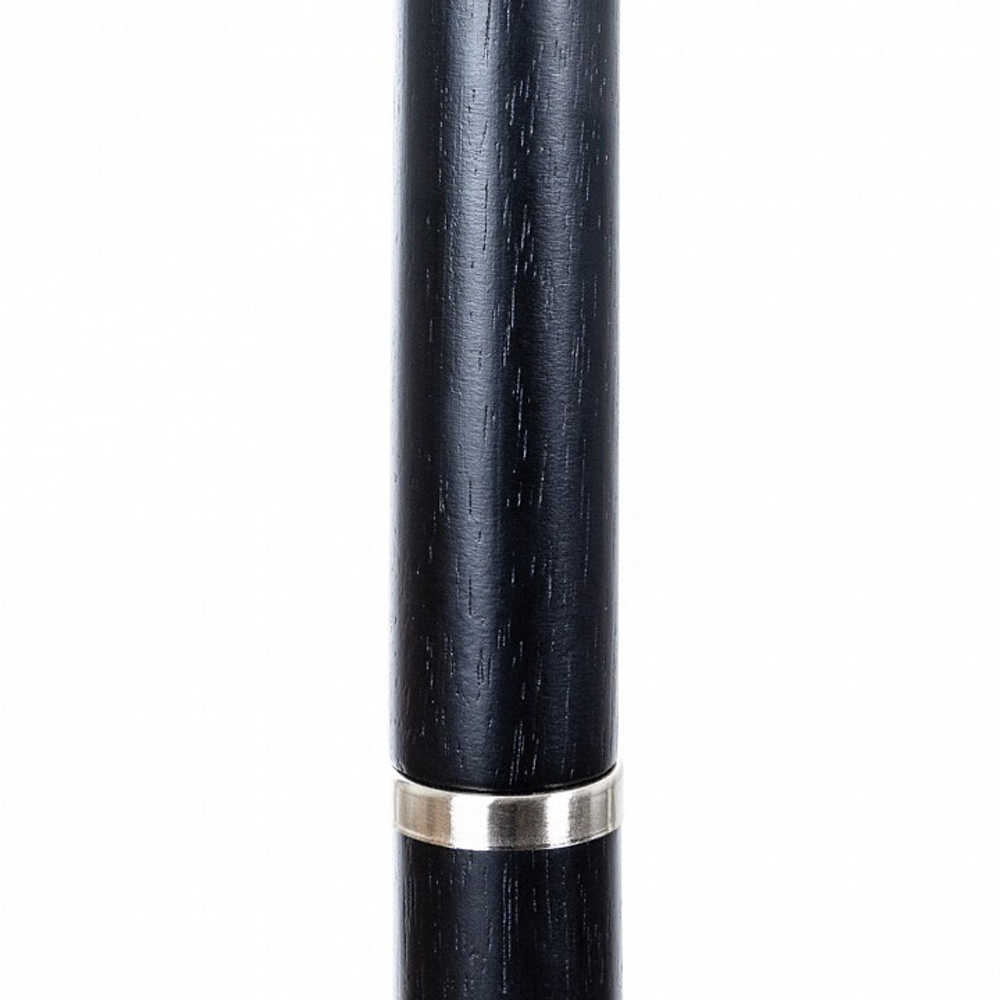 Торшер Arte Lamp Robert A5029PN-1SS