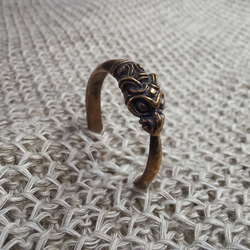 Кольцо. Дракон