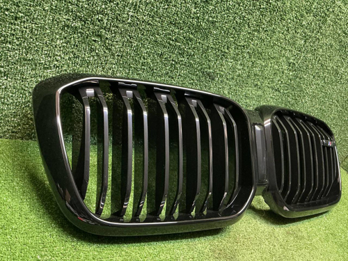 Решетка радиатора BMW X3 G01 (2021-2024)