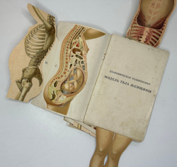 Платен М. Новый способ лечения. Лечение целебными силами природы. — Берлин: Изд. Просвещение, 1901