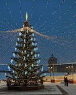 Светодинамическая елка ствольная со скамейкой, встроенная гирлянда: Теплый свет - "Лесная" (Литая хвоя) от 6 до 18 м