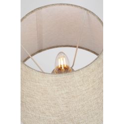 Настольная лампа Rivoli Virineya 7228-501 1хЕ27 60 Вт модерн | Модерн